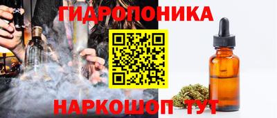 индика Северобайкальск